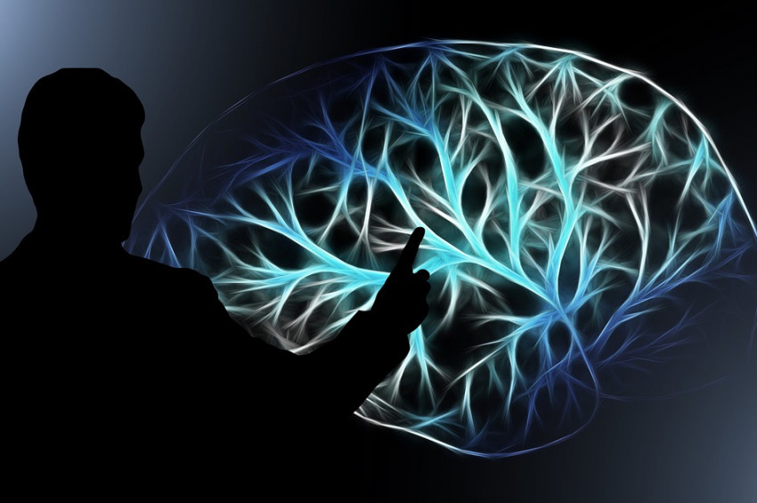 Beyin sağlığı ruh sağlığının sigortası