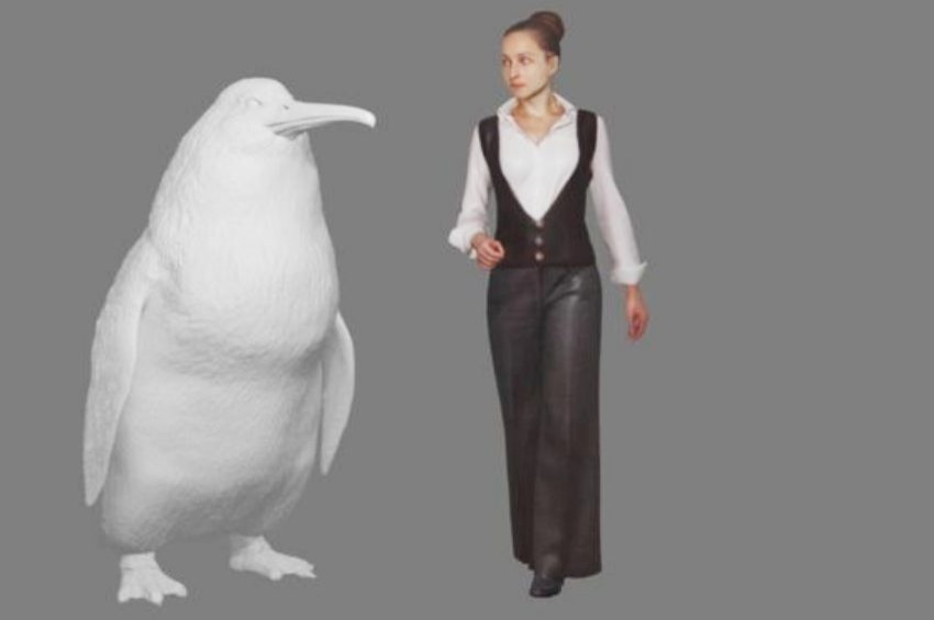 Yeni Zelandada dev penguen fosili bulundu