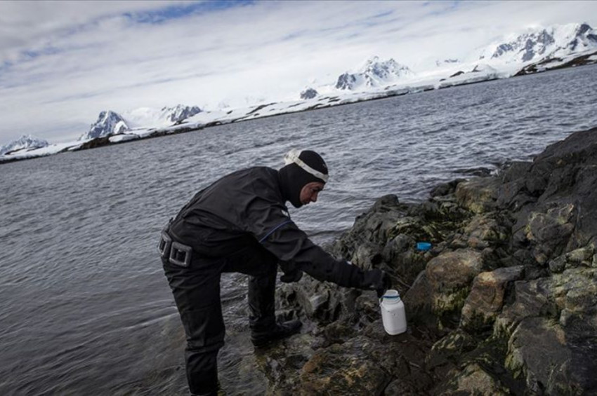 Kozmetik kalıntıları Antarktikayı da kirletti