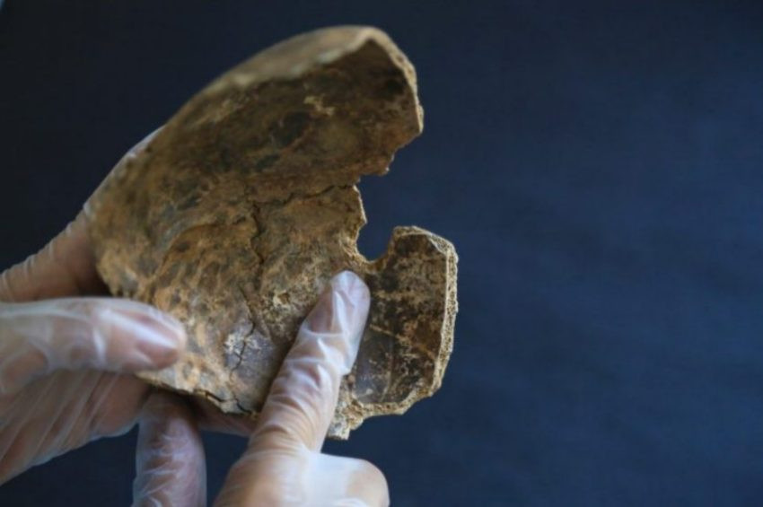 Muğlada 2 Bin yıl önce beyin ameliyatı yapılmış