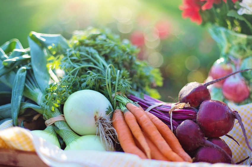 Sonbaharda hangi ayda hangi sebze yenilmeli?