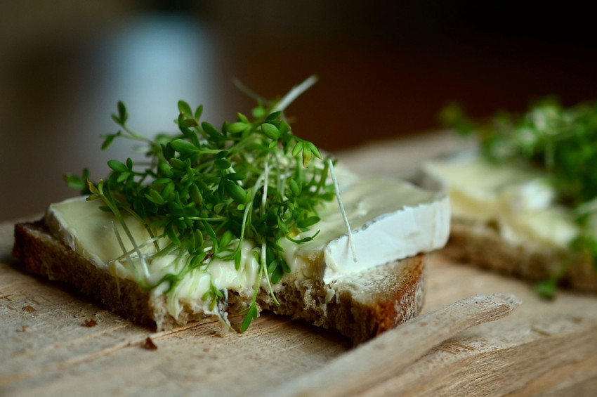 Okul çağı çocukları için dengeli beslenme önerileri