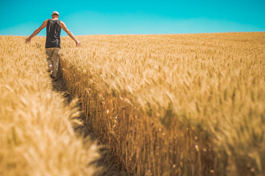 Barbar kimdi, uygar kim Tahıla Karşıda sorgulanıyor