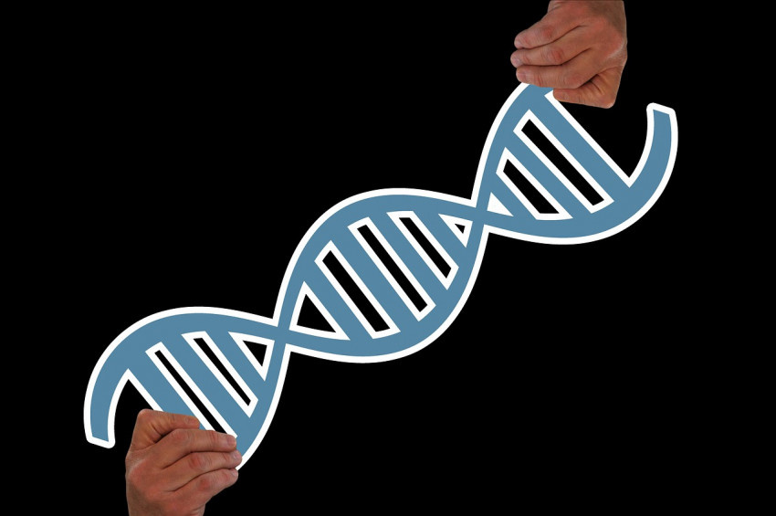 DNA yeniden kodlanıp, sarmal sayısı artırılabilir mi?