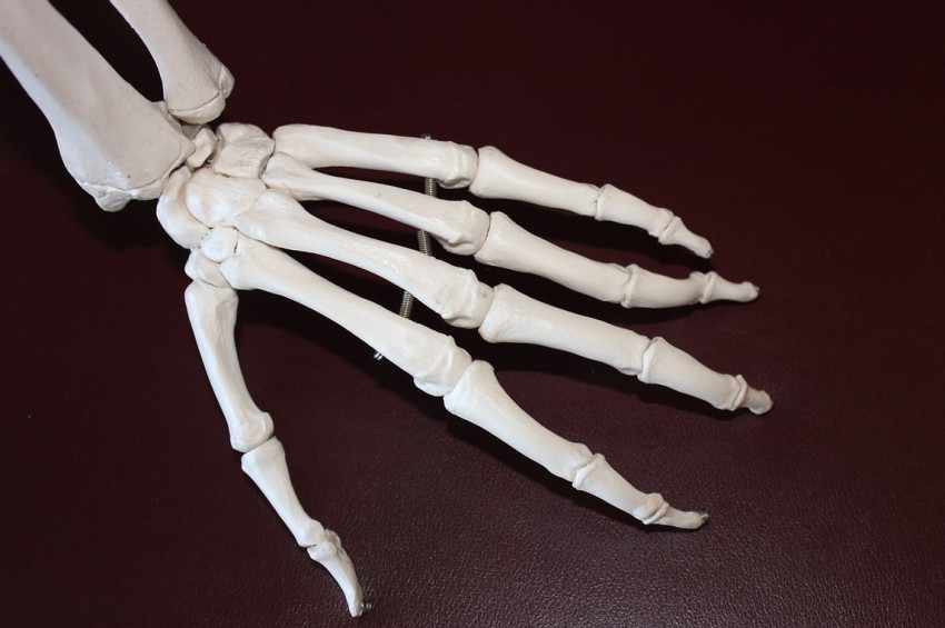 El bileğindeki sinsi tehlike: Sessiz kırık