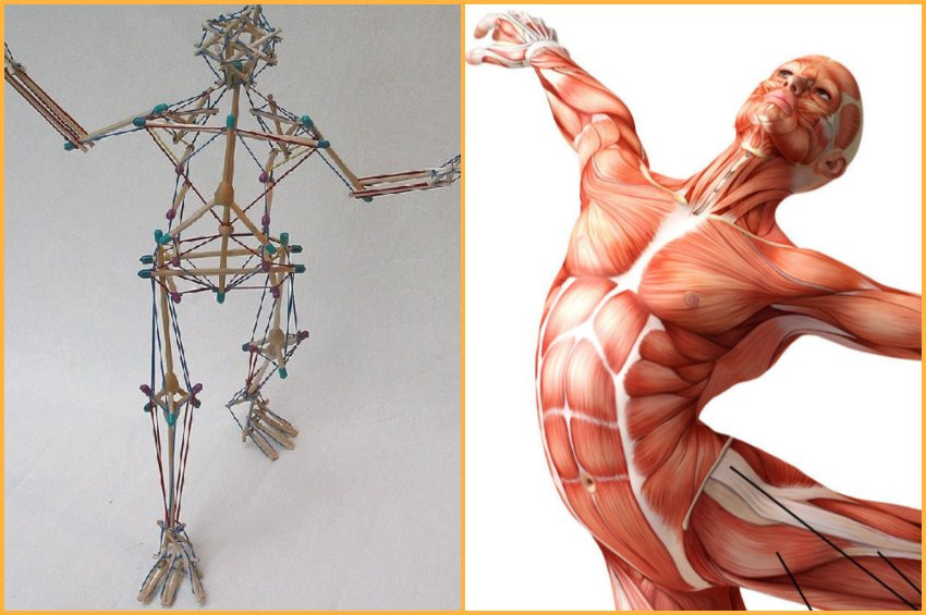 Tensegrity nedir? Gerilimden nasıl kurtulabilirsiniz?