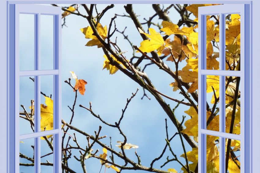 Kasım ayı burç yorumları ve şifalı nesneleri