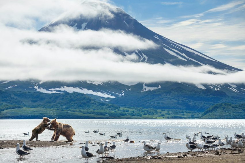 A Perfect Planet: Mükemmel Gezegen belgeselinin fragmanı yayınlandı