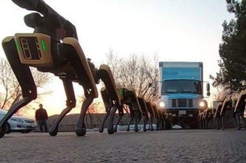 Robot köpekler New Yorkta göreve hazırlanıyor