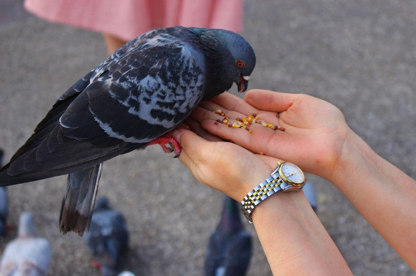 En etkili antidepresan iyilik yapmak