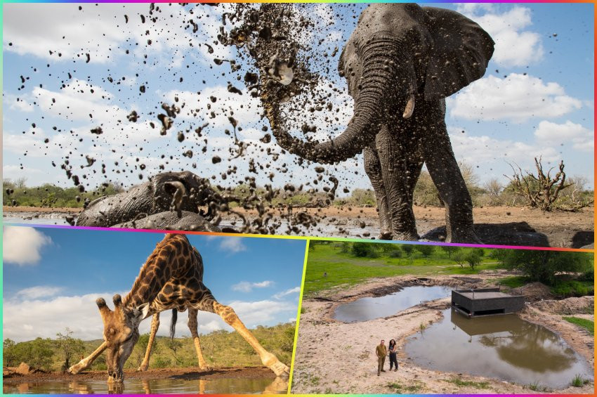Su Birikintisi Belgeseli BBC Earth ekranlarına geliyor