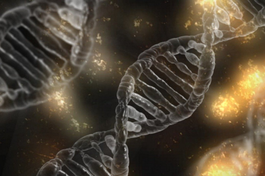 Yaşlanmaya meydan okuyacak gen bulundu iddiası