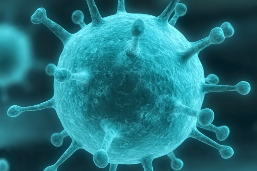 Çinde hantavirüs paniği! Hanta virüsü nedir, bulaşıcı mı?