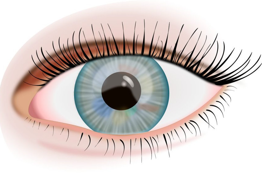 Göz sağlığı için günde bir saat uzağa bakın