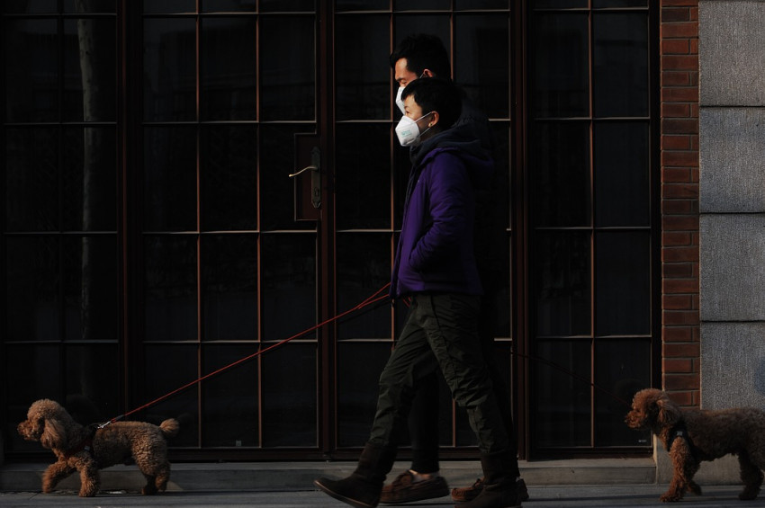 ABDli araştırmacıların 3 koronavirüs senaryosu