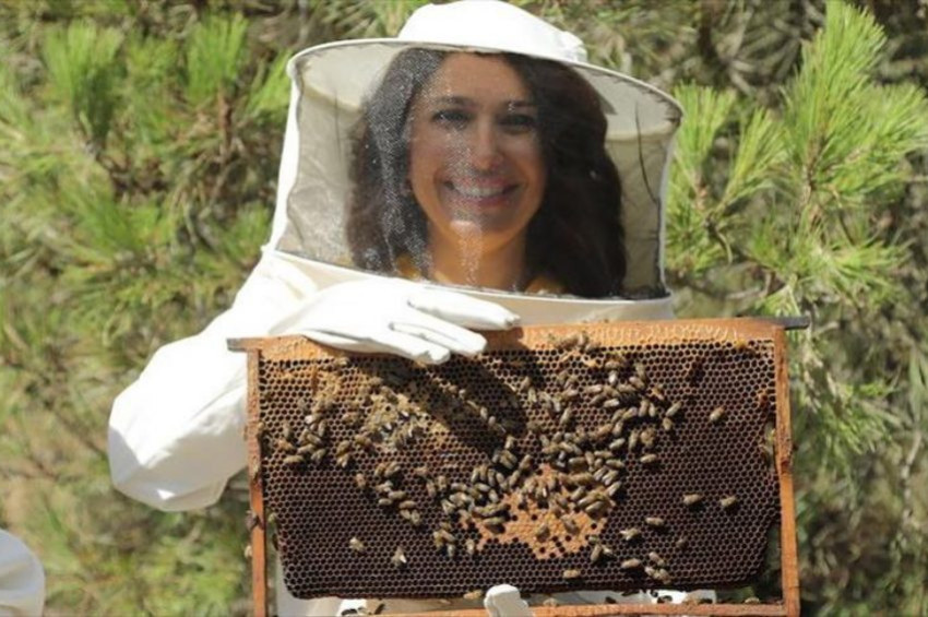 Propolis ve arı sütü ürünlerinin yüzde 90ı sahte