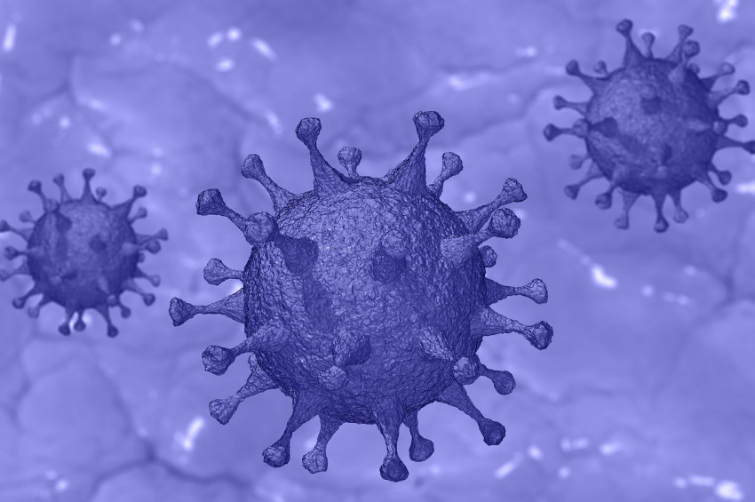 Koronovirüs haberleri 20 milyonu aştı