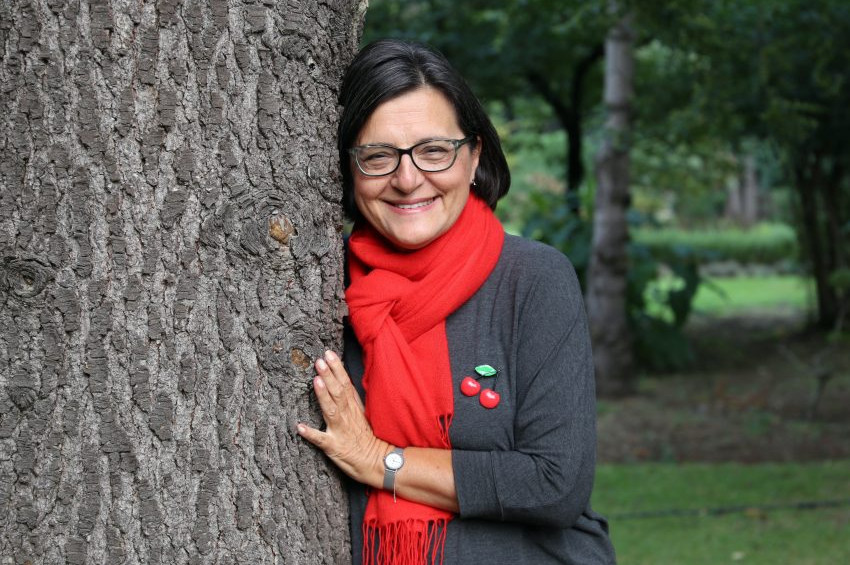 TEMAnın Doğa Kaşifi ile tabiat cebinizde