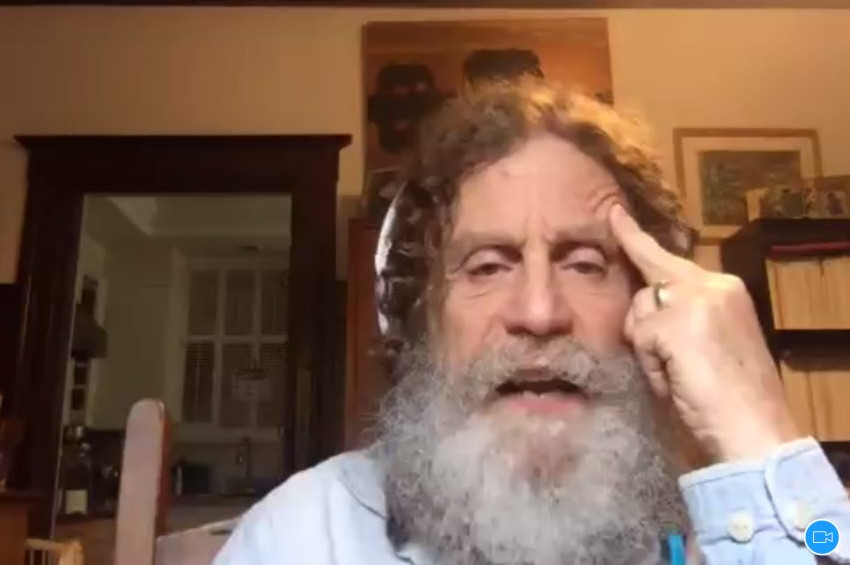 İnsanoğlunun şiddet paradoksunda genlerin etkisi