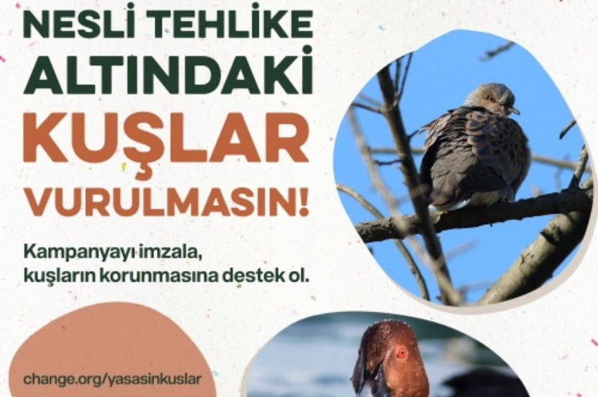 Üveyik ve elmabaş patkalar avlanmasın çağrısı