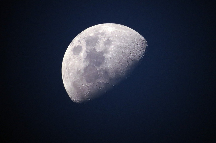 Rusyadan NASAya Ayı birlikte keşfedelim teklifi