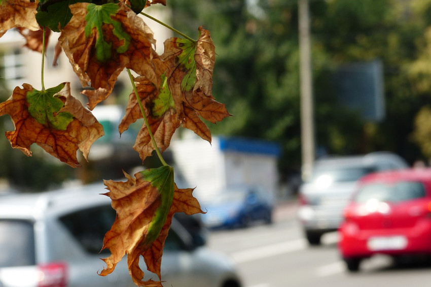 TMMOB Türkiye Hava Kirliliği Raporunu açıkladı