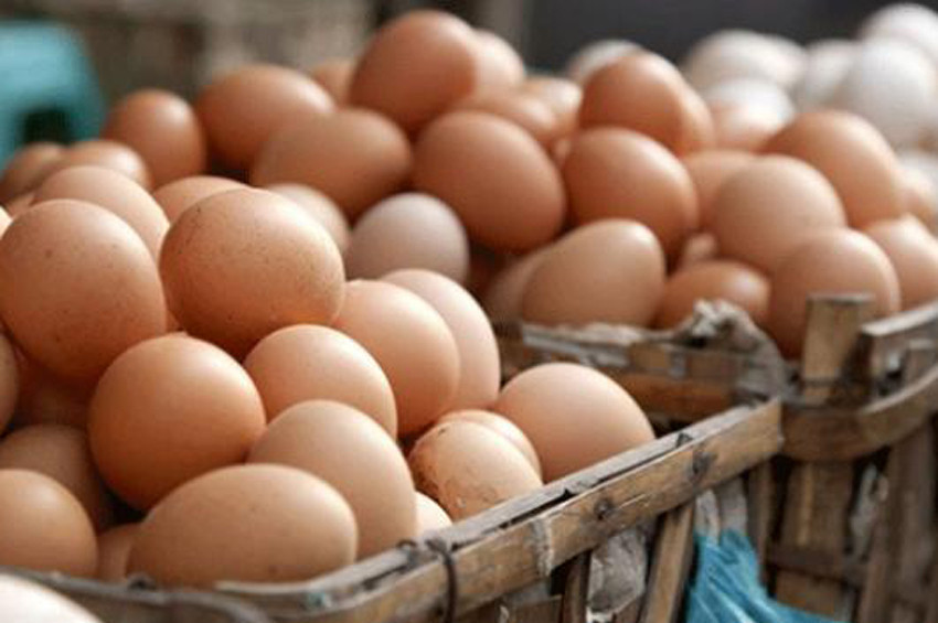 Organik yumurtaya yoğun talep geldi