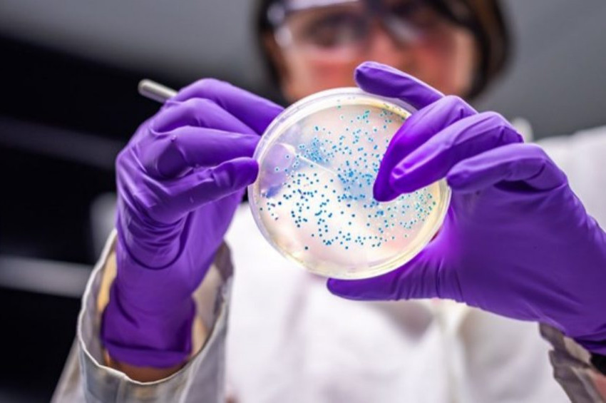 Scripps: Koronavirüs mutasyonla daha bulaşıcı hale geldi