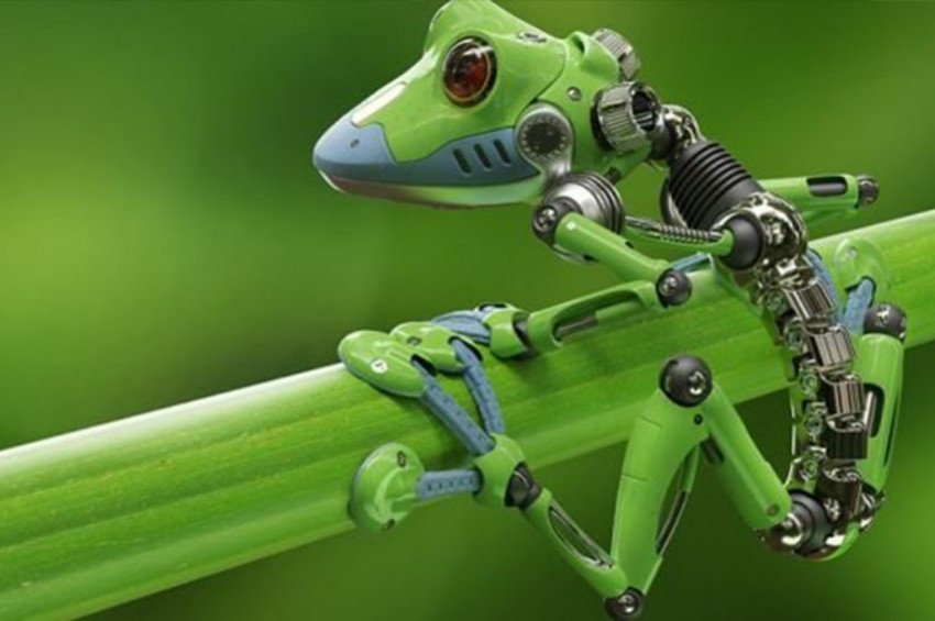 Canlı robot Xenobots ile tanışmaya hazır olun