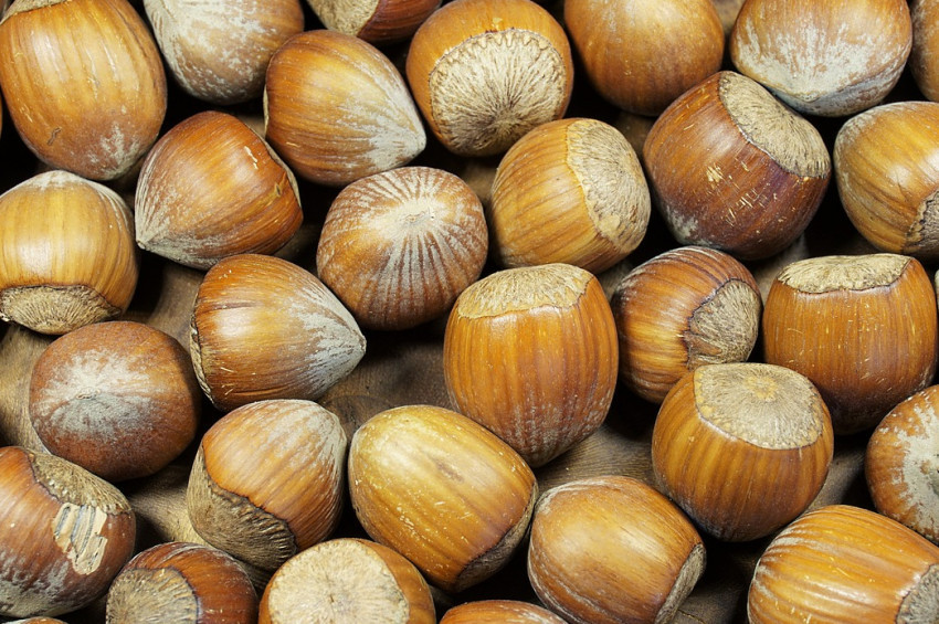 Yazın kilo vereye yardımcı 14 besin