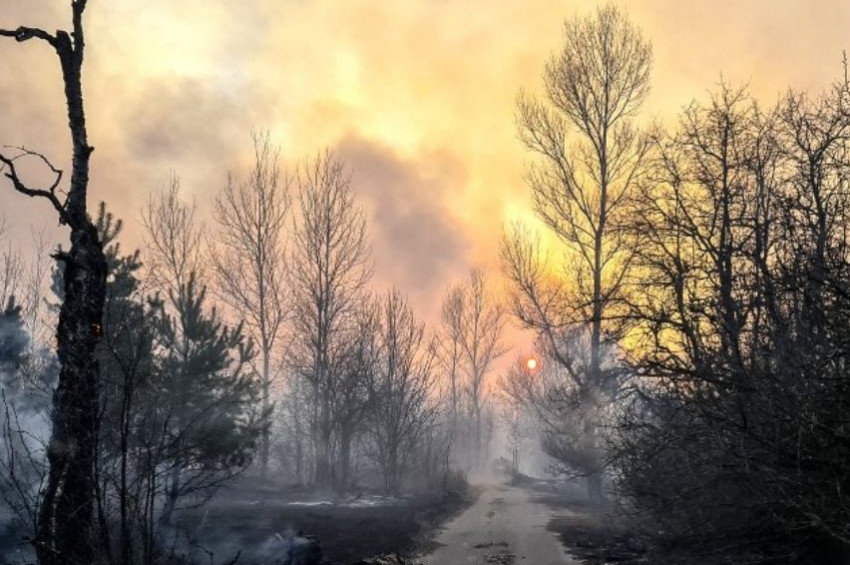 BAFTA Televizyon Ödülleri  2020 adayları açıklandı.