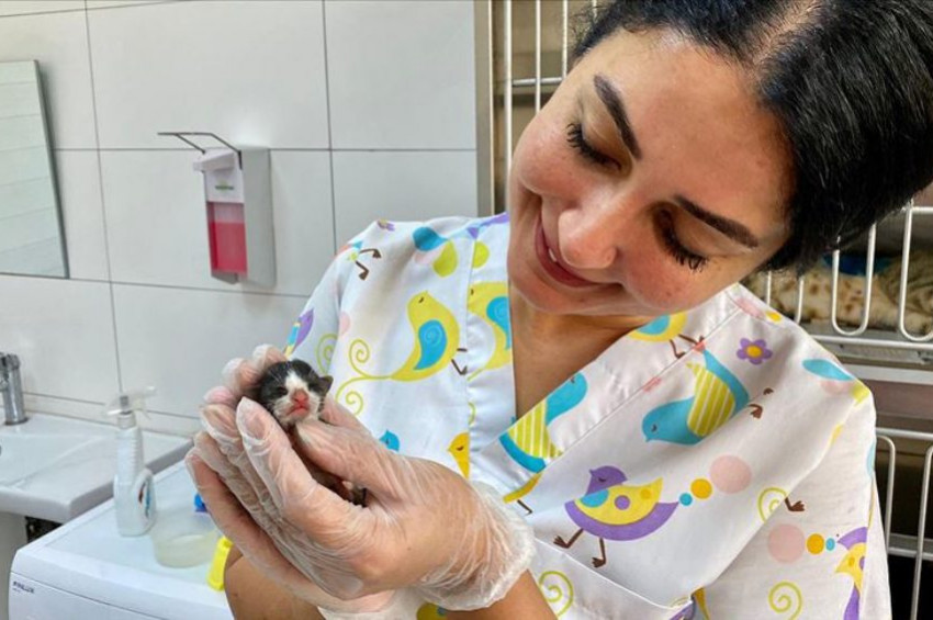 10 Gram doğan mucize kediye özel bakım