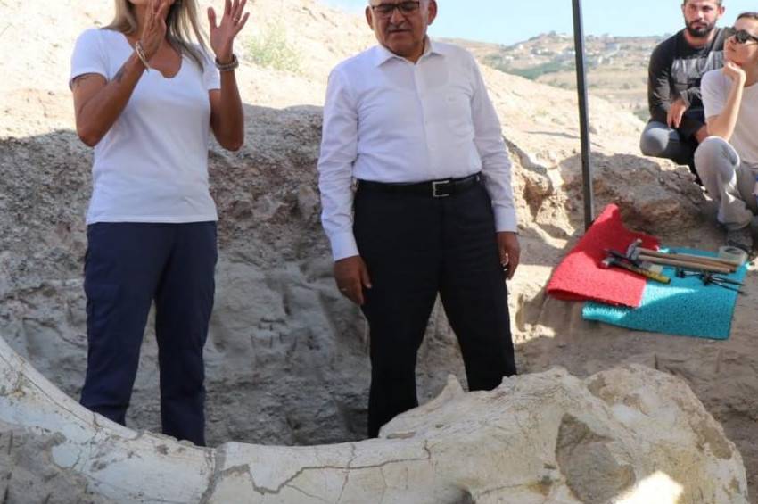 Fillerin atasının 7,5 milyon yıllık fosili su altında görüntülendi