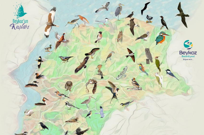 Beykoz’un Kuşları ve Tabiat Alanları kitaplaştı