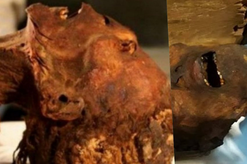 Çığlık atan mumyanın ölüm nedeni saptandı