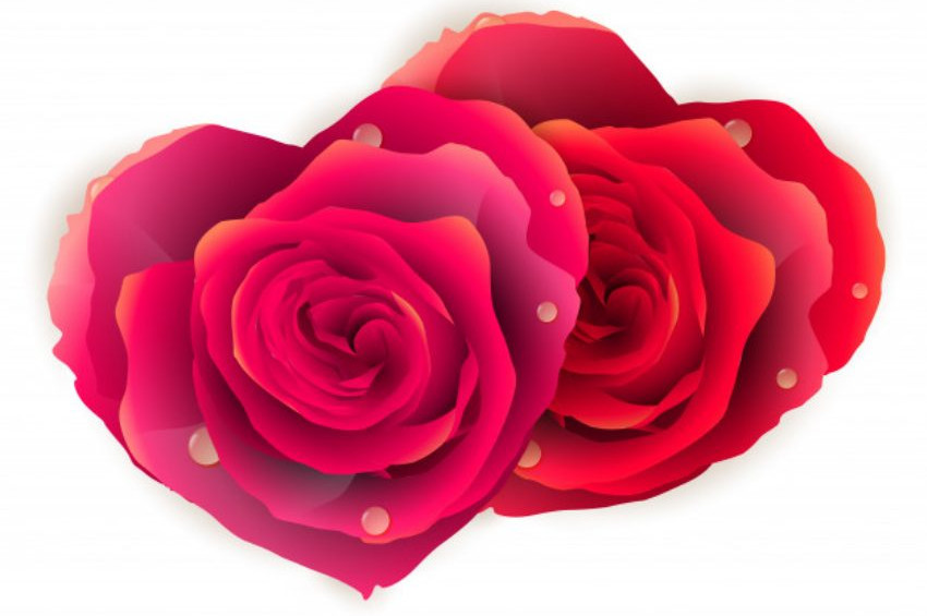 Gül-Senuber Öyküsü: Gül ü Sanavber Hikayesi