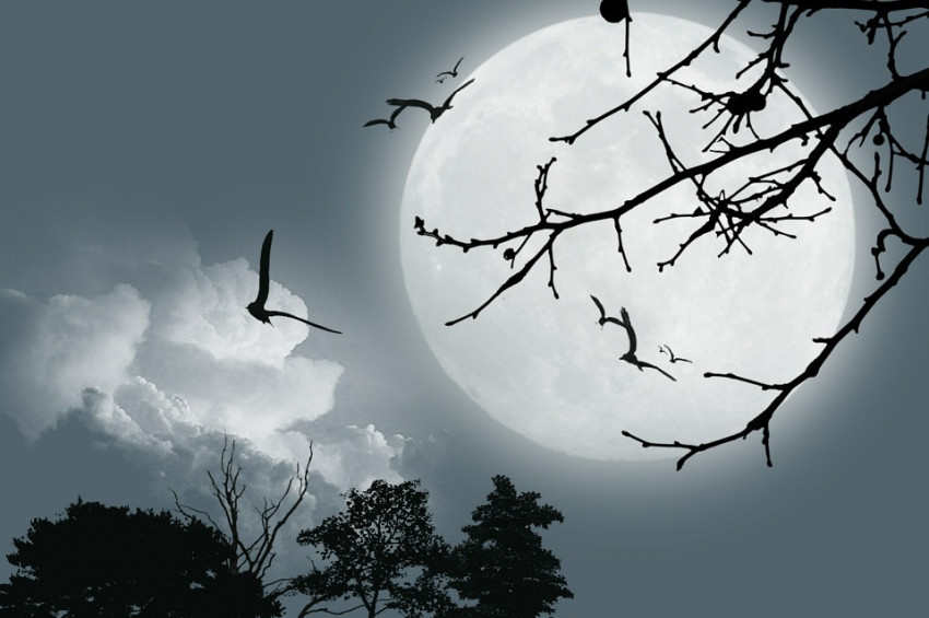 3 Ağustos Kova burcunda dolunay süreci