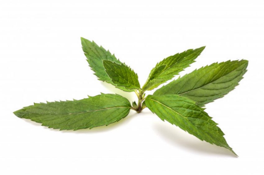 Bayramda yemeği fazla kaçıranlar için dengeleme detoksu!