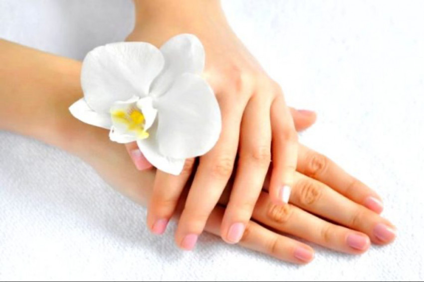 Karantinada yıpranan ellerimiz için bitkisel bakım