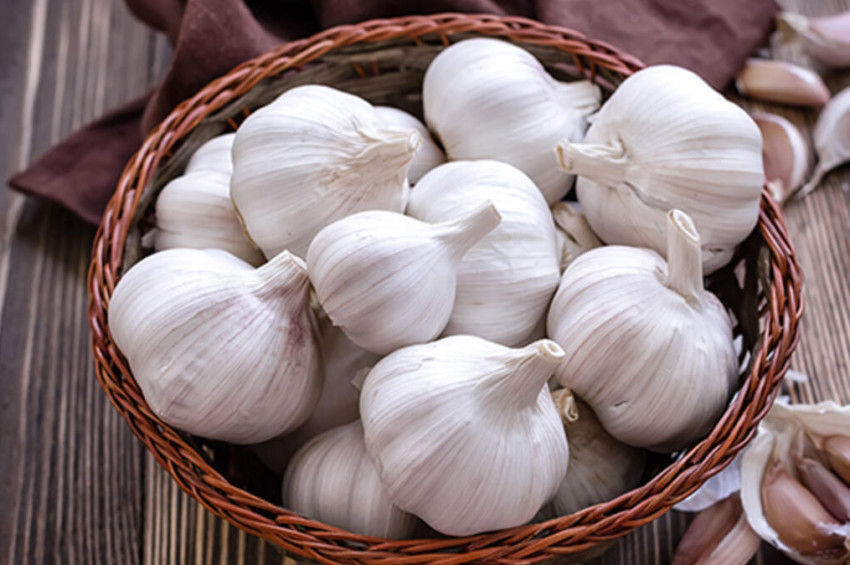 Sarımsağın Faydaları