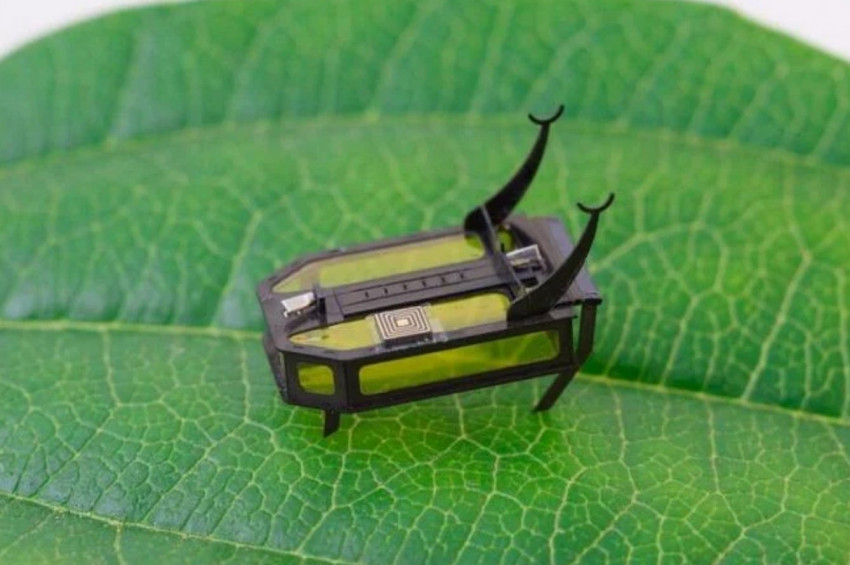 Ameliyatlarda Kullanılması Hedeflenen Mikro Robot: RoBeetle