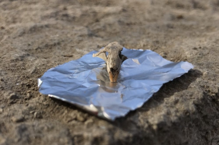 2 bin 600 yıllık mutfakta fare kafatası bulundu