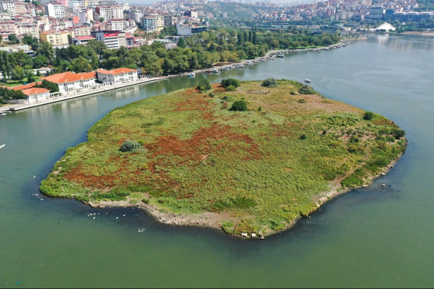 Haliçin bazı noktalarında sular siyahlaştı