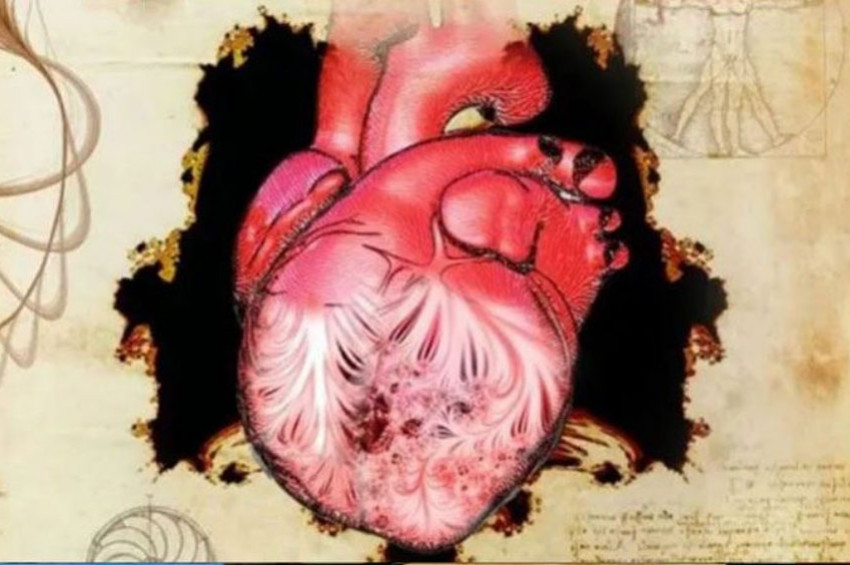 Da Vincinin çizdiği kalpteki sır çözüldü