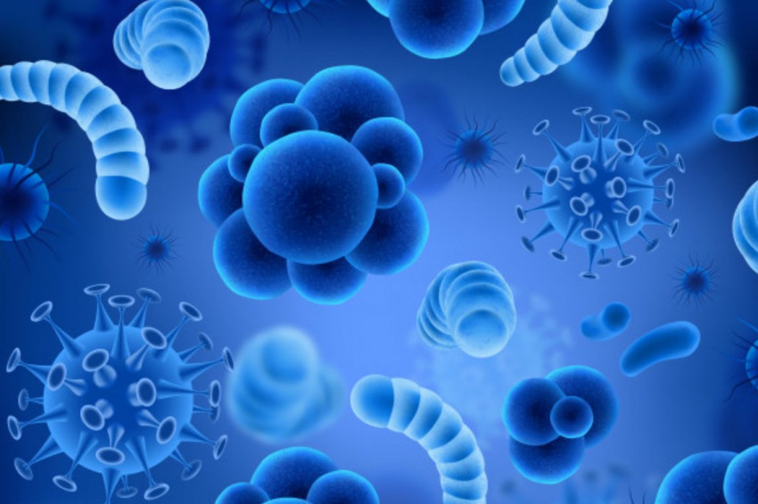 Bakterilerin nekro sinyalleşme sistemleri keşfedildi