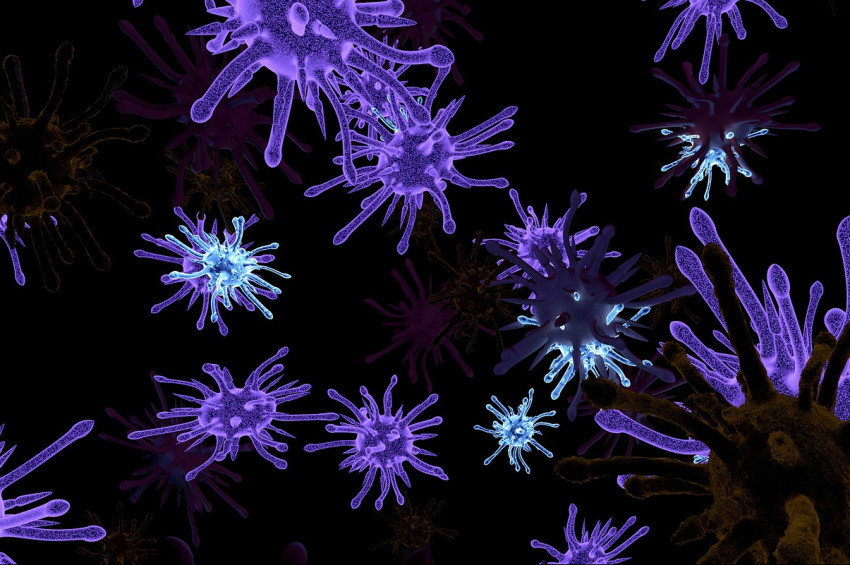 Mikropların bir gezegenden diğerine gidebileceği ispatlandı