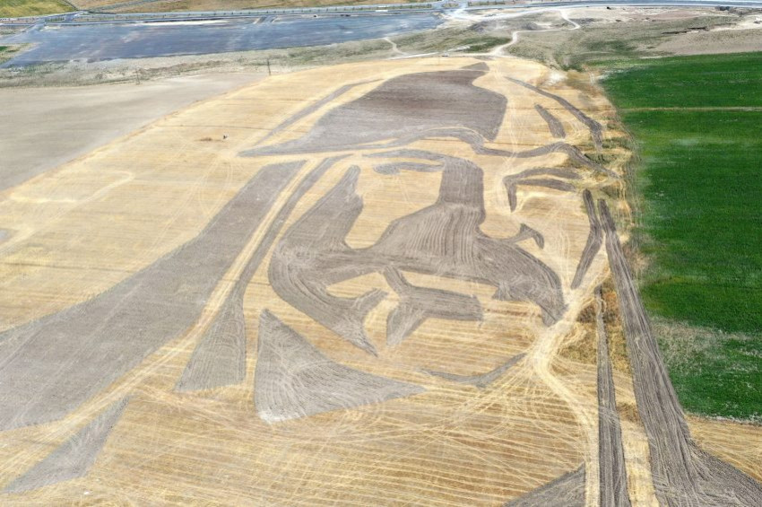 121 dönüm araziye Sultan Alparslan resmi çizildi