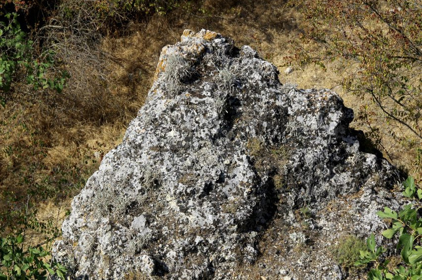 Edirnede Trakların yaptığı Güneş Diski bulundu