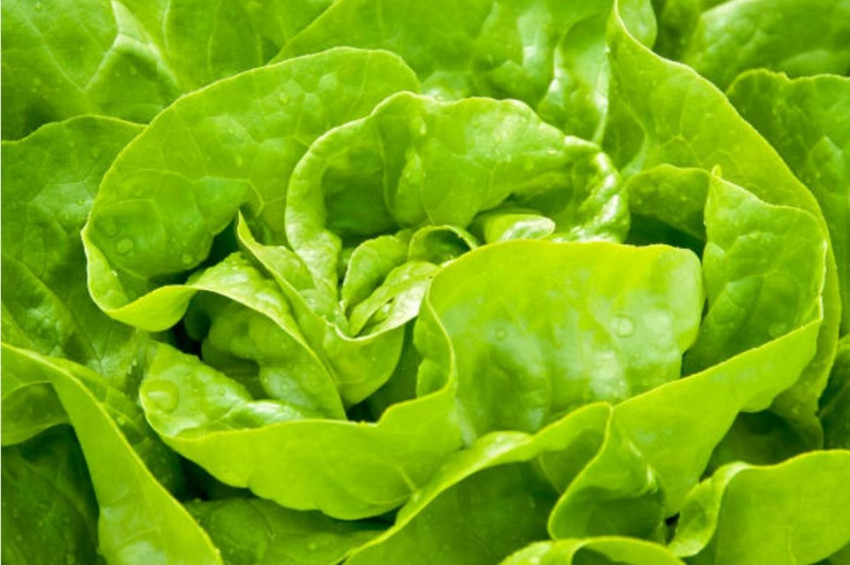 Gıda zehirlenmesi belirtileri nelerdir ve neler yapılmalı?