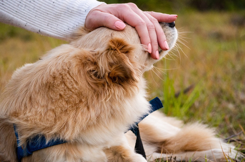 Sevginizi ifade edebilmemiz adına güzel bir atmosfer